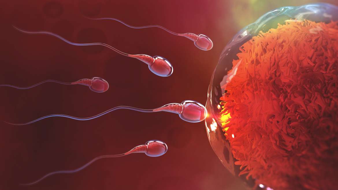 IntraUterine Insemination